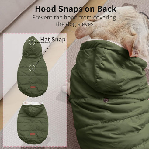 Fleece Lining Extra Warm Dog Hoodie, Green Jacket for Small Dogs with Hooded Design