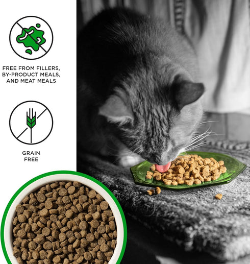 BIXBI Liberty Dry Food, Digestive Cat Health Chicken Recipe, 3lb