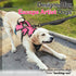 rabbitgoo Escape Proof Dog Harness, Soft Padded Full Body Vest, Reflective Adjustable No Pull for Large Dogs (XL, Pink)