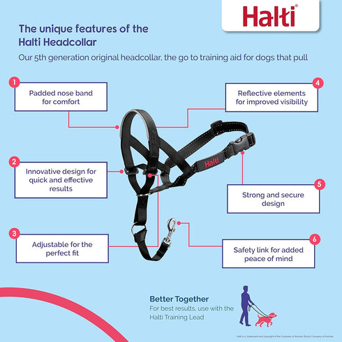 HALTI Headcollar - to Stop Your Dog Pulling on The Leash. Adjustable, Reflective and Lightweight, with Padded Nose Band. Dog Training Anti-Pull Collar for Large Dogs (Size 4, Forest Green)