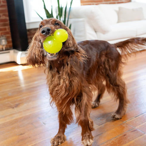 5-Inch Outward Hound Double-Tuff Stuffable Dog Toy, Large Green - Treat Dispensing Chew Ball for Medium to Large Dogs