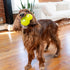 5-Inch Outward Hound Double-Tuff Stuffable Dog Toy, Large Green - Treat Dispensing Chew Ball for Medium to Large Dogs