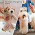 4 oz (2-Pack) Sunny & Honey Dog Perfume Spray Long Lasting - fl - Deodorizing, Detangling & Hydrating with Avocado Oil
