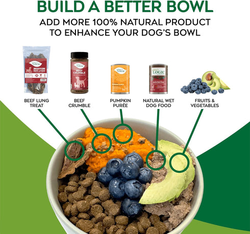 100% 12 lbs Natures Logic Pure Naturals Natural Beef Recipe Synthetic-Free Dry Dog Food