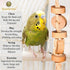 SunGrow Parakeet Wooden Chew Toy Hanging Wood Cookies for Pecking Chewing Great for Parrots Macaws African Grays &