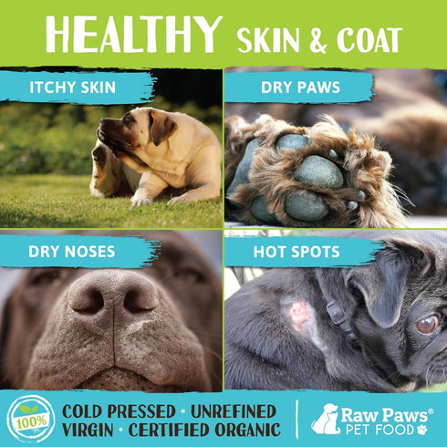 Raw Paws Virgin Organic Coconut Oil for Dogs & Cats - 4-oz Treatment for Itchy Skin, Hot Spot Lotion
