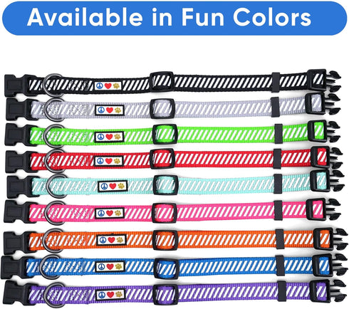 Pawtitas Reflective Dog Collar - High Visibility Adjustable Collar for Extra Small and Small Puppies, Purple XS