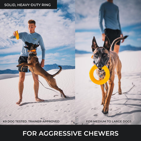 Chew Ring & Fetch Ball Combo for Aggressive Chewers | Heavy-Duty, Ultra-Durable Natural Rubber Toys for Medium to Large