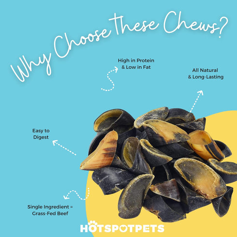 hotspot pets Full-Size Cow Hooves for Dogs | All-Natural Long Lasting Chews from Grass Fed Cattle