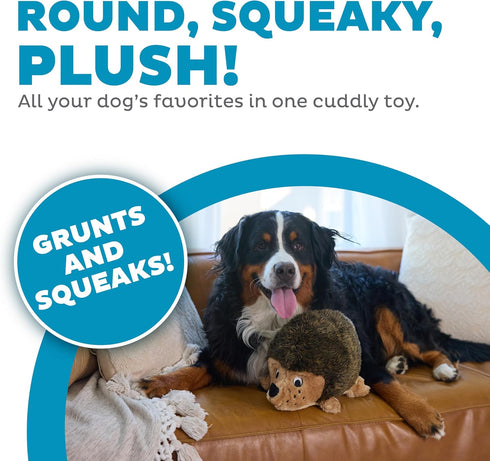 12" 8.5" 9" Outward Hound Hedgehogz Stuffed Dog Toy Soft Plush Hedgehog, Grunts & Squeaks, XL, x x