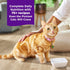 2.64 oz, Pack 12 Wellness Complete Health Purrfect Duos Cuts in Gravy Adult Wet Cat Food, Natural, Protein Rich, Grain