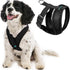 Gooby Comfort X Head in Harness, Black, Small - No Pull Dog Harness for Medium & Small Dogs