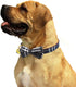 KUDES 2 Pack Dog Collars with Bow Tie and Bells, Adjustable Cute Bow Ties Collar for Small/Medium/Large Pets