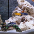 Mipcase Fish Tank Bridge Decor, Underwater Bridge Adorn for Aquarium Decoration, Botanical Reptile Decor