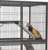 MidWest Homes for Pets Designer Ferret Nation/Critter Nation Ramp Covers - 3-Pack