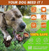 Dog Chew Toys for Aggressive Chewers, Tough Bacon Flavored Bone Toys for Medium/Large Breed Dogs