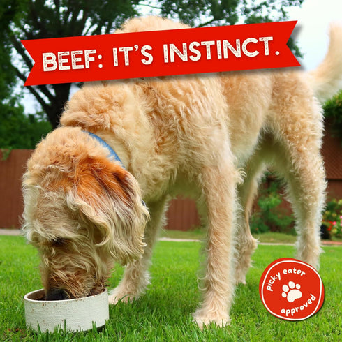 (8 Pack 1) 100% Beg & Barker Beef Dog Food Toppers Ounce, of Made in USA Single Ingredient Meal Topper for Picky Eaters