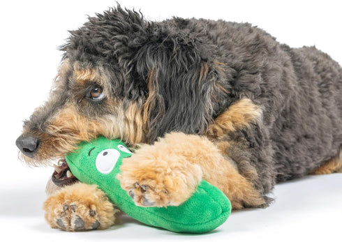Huxley & Kent for Dogs | Dell Pickle (Large) | Funny Power Plush Dog Toy with Squeaker, Durable Gift