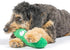 Huxley & Kent for Dogs | Dell Pickle (Large) | Funny Power Plush Dog Toy with Squeaker, Durable Gift
