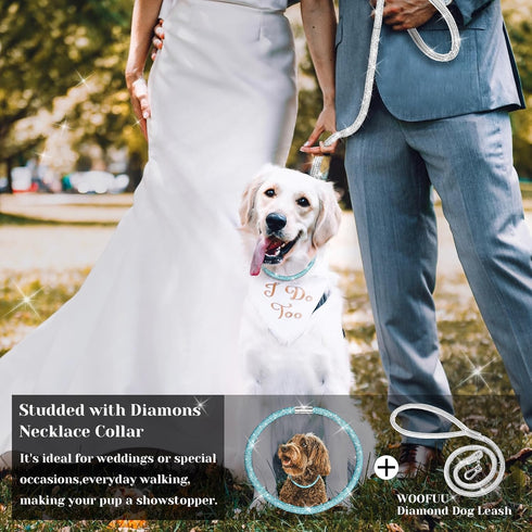 Stylish Luxurious Diamond Dog Collar, Magnetically Absorbent Clasp, Full Diamond Design, Blue Diamonds Necklace Collar