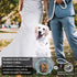 Stylish Luxurious Diamond Dog Collar, Magnetically Absorbent Clasp, Full Diamond Design, Blue Diamonds Necklace Collar