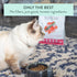 The New Zealand Natural Pet Food Co MEOW e - Chicken & King Salmon Recipe, Dry Cat Food, 3.5 oz