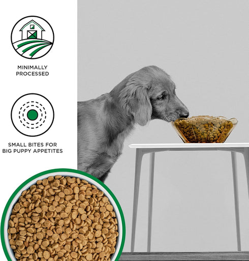 BIXBI Liberty Grain Free Dry Dog Food, Original Recipe Puppy, 4 lbs, Fresh Meat, No Fillers, USA Made