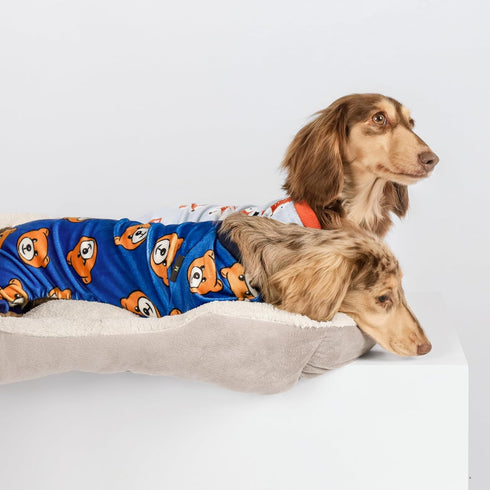 Fitwarm Cute Bear Dog Pajamas | Fleece Pet Onesie for Small Dogs, Royal Blue & Brown, XXL