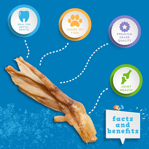 Jack&Pup Duck Feet Dog Chew Treats, All Natural, Single Ingredient, Dehydrated Duck Feet for Medium and Small Dogs (20