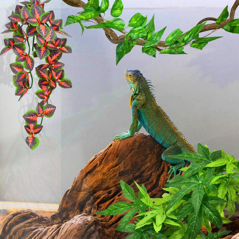 3 KATUMO Reptile Plants, PCS Amphibian Hanging Plants with Suction Cup for Snake, Bearded Dragons, Lizards, Geckos