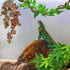 3 KATUMO Reptile Plants, PCS Amphibian Hanging Plants with Suction Cup for Snake, Bearded Dragons, Lizards, Geckos