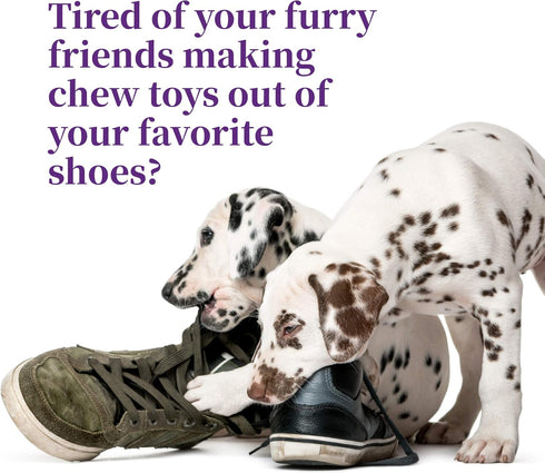 Harbor's Bitter No Chew Spray - 3X Strength Chewing Deterrent for Shoes, Bandages, Paws, and Furniture