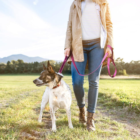 TwoEar 4FT 1IN Strong Rose Dog Leash, 2 Padded Handles, Traffic Handle for Extra Control, Reflective Lead for All Dogs