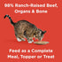10 oz 97% BIXBI Rawbble Freeze Dried Cat Food, Beef Recipe, - Meat and Organs, No Fillers - Pantry-Friendly Raw Cat