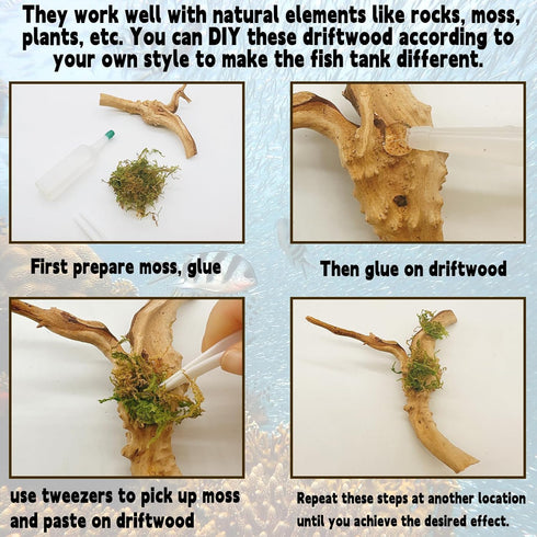 Hamiledyi 6 PCS Natural Spider Wood Driftwood, Assorted Branches for Reptiles and Fish Tank Decoration (6-8 inch)