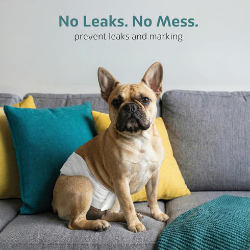 O'JAY (50 Pack, Maximum Absorbency Male Dog Diapers - Leak-Proof Disposable Male Dog Wraps- FlashDry Gel Technology