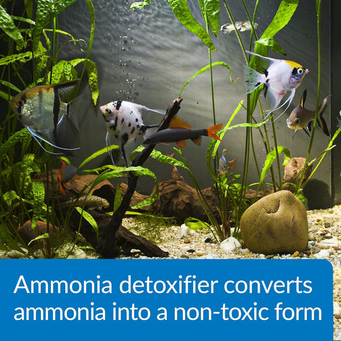 API Ammo Lock Freshwater and Saltwater Aquarium Ammonia Detoxifier - 1-Gallon Bottle