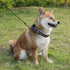 KISSBAK Dog Collar for Small Dogs, Soft Adjustable Floral Design for Cute Girl Puppy Collars (S, Floral Purple)