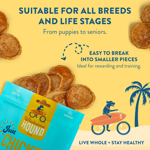 Just Chicken Chips - All Natural Healthy Dog Treats, 16oz for Small, Medium, and Large Breeds