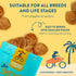 Just Chicken Chips - All Natural Healthy Dog Treats, 16oz for Small, Medium, and Large Breeds