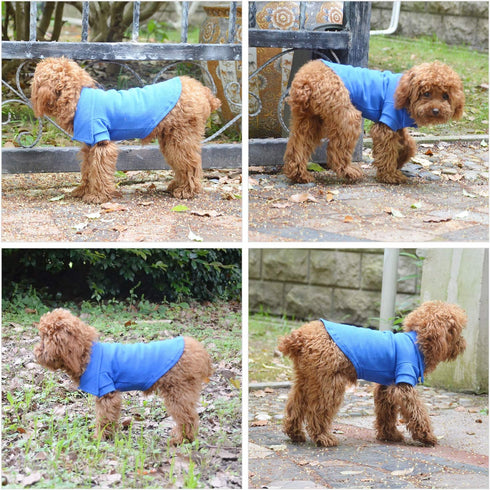 lovelonglong Basic Dog Polo Shirts, Premium Cotton T-Shirts for Large Medium Small Dogs, Blue S