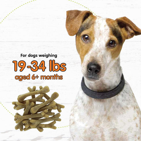 Super Breath Dental Care Bones for Dogs - 13 Count Small Dog Treats, Made in USA, Freshens Breath