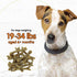 Super Breath Dental Care Bones for Dogs - 13 Count Small Dog Treats, Made in USA, Freshens Breath