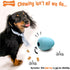 Nylabone Eggi Interactive Fillable Dog Chew Toy, Lightweight Bouncy Floatable Treat Toy for Large/Giant Dogs, Blue
