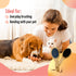 The Buddy System Combo Bristle Pet Brush, 2-in-1 Durable Rubber and Soft Boar Bristle Side