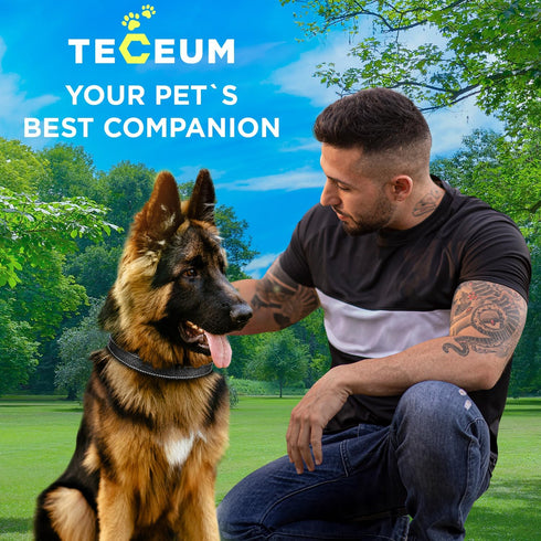 TECEUM Reflective Pet Collar – Basic Nylon Dog Collar – Quick Release Buckle – Black – L – Fits Small, Medium and Large