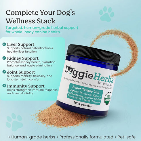 55% Immune 100g High Potency Turkey Tail Mushroom Extract Beta-Glucans (Coriolus Versicolor) Clinical Strength Fruiting