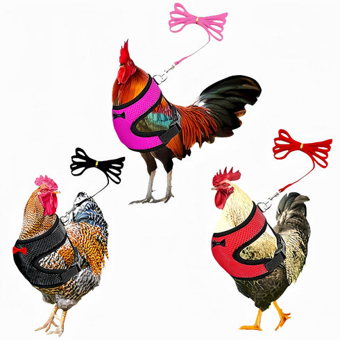 Magnoloran 3 Pack Chicken Harness and Leash Set Adjustable Hen Vest with Matching
