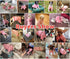 Idepet Pet Dog Classic Sweater, Soft Fleece Coat for Small, Medium Dog, Warm Pet Cloth (XS, Pink)