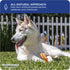 Downtown Pet Supply Pig Ears, 5 Pack, SOUTH AMERICA & TURKEY
